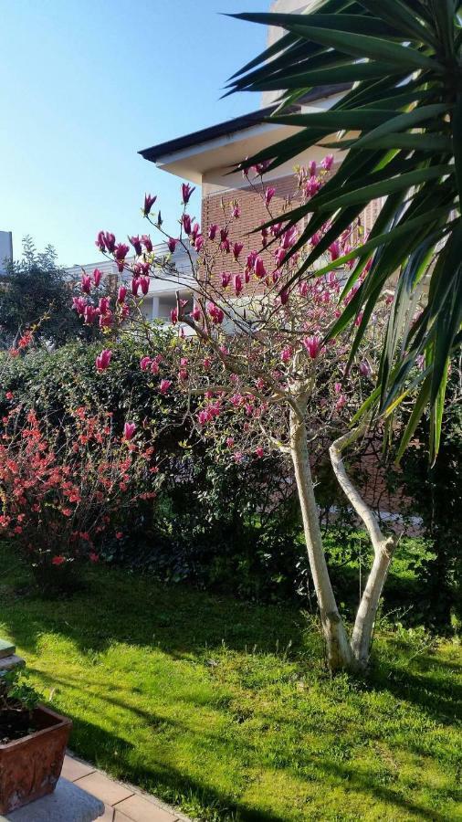 לטינה Home Denise E Luca מראה חיצוני תמונה