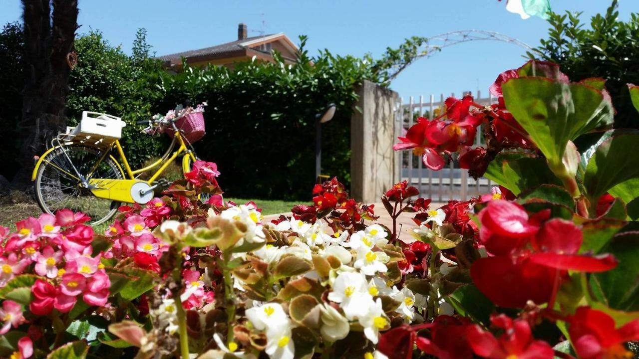 לטינה Home Denise E Luca מראה חיצוני תמונה